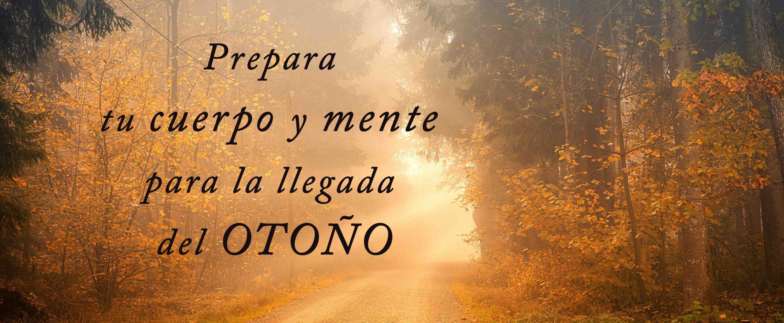 TERAPIA de SONIDO c...